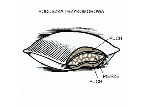 Poduszka do spania 50x70  Puchowa  3 - komorowa  Luna  poldaun