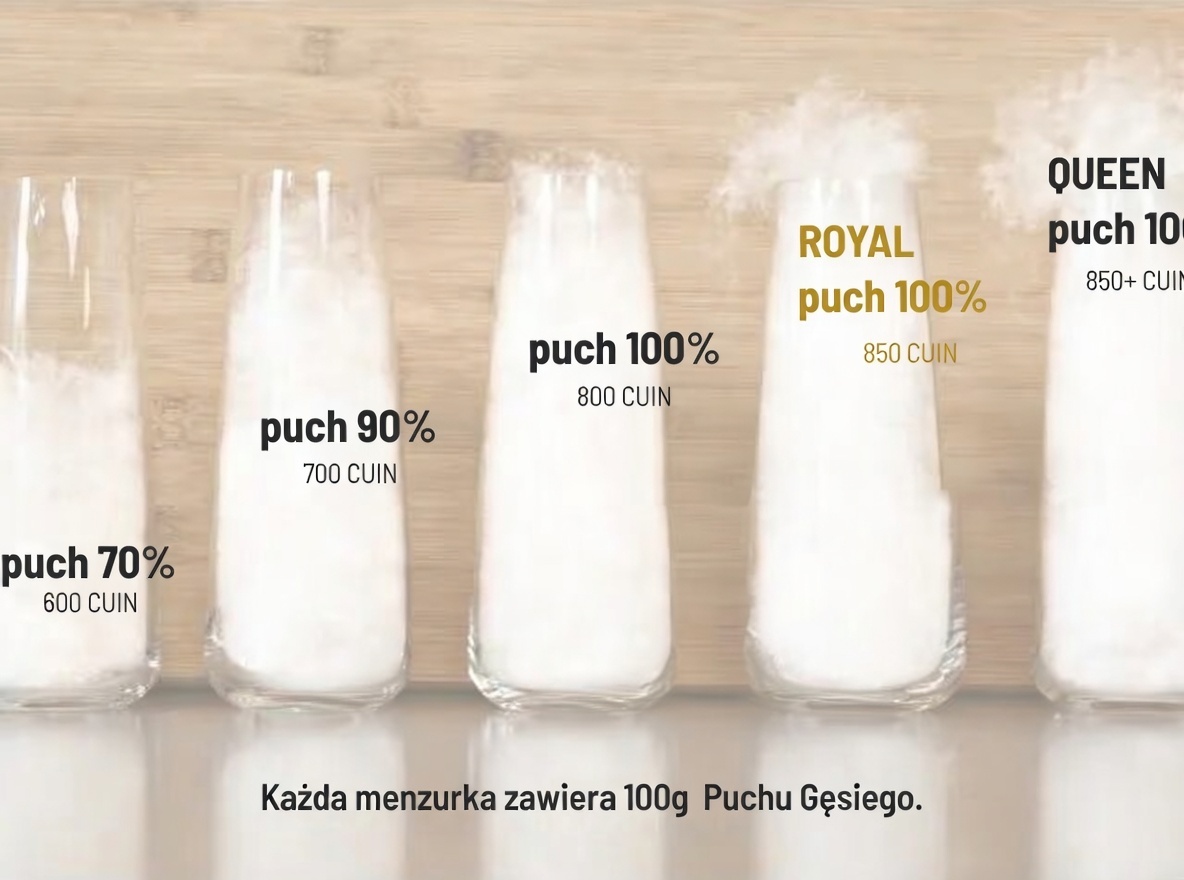 Sprężystość puchu 850+ CUIN – test wyporności 100g AMZ Royal